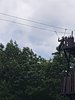 288743113_1445281762559011_1578022949106567996_n