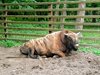 IMG_20190810_140618519