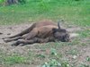 IMG_20190810_135736177